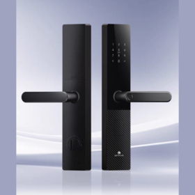 【四川】德施曼E55指纹密码入户门锁