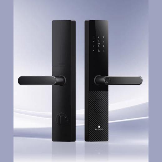 【四川】德施曼E55指纹密码入户门锁 商品图0