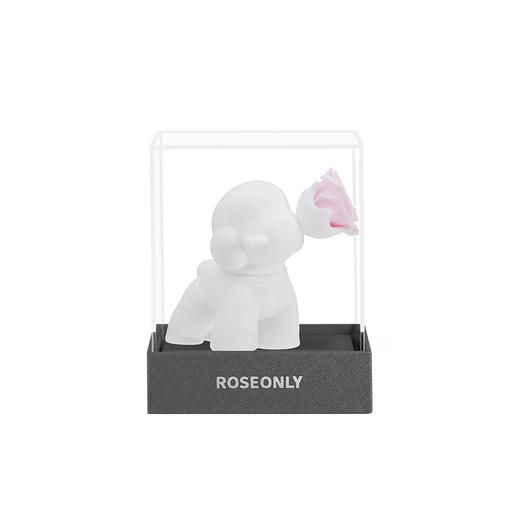 【MINI宝贝】ROSEONLY诺誓 永生玫瑰 公仔系列 MINI系列公仔   送朋友 送闺蜜 商品图5