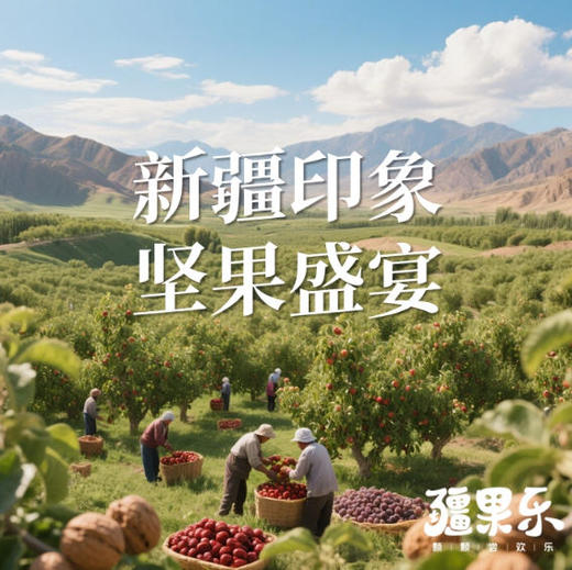 【快递】疆果乐新疆印象·坚果盛宴小号礼盒（B款） 商品图8