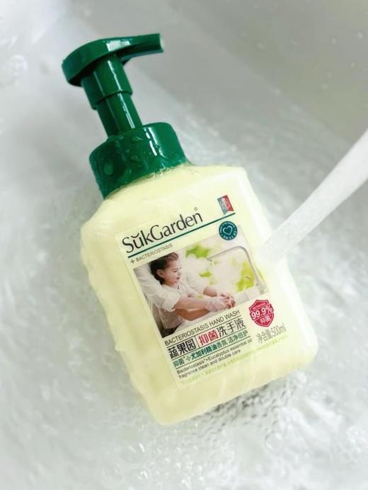 直发【发三瓶】蔬果园泡泡洗手液 三种味道全系列 商品图1