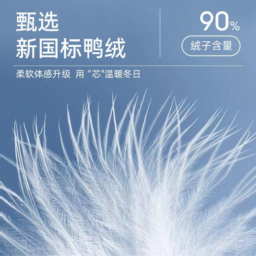 半身缘男女装 冬季三防通勤户外情侣款连帽工装羽绒服2535 商品图4