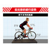 BIKE FIT 骑行姿势设定指南 第3版  自行车设定调节 确调整自行车 骑行训练 商品缩略图2