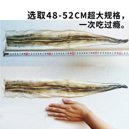 快晓鲜渤海湾野生星康吉鳗210g*1袋 商品图6