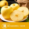 建宾黄金维纳斯苹果4.5斤礼盒装【分仓直发，72小时发货，周末节假日不发货】 商品缩略图1