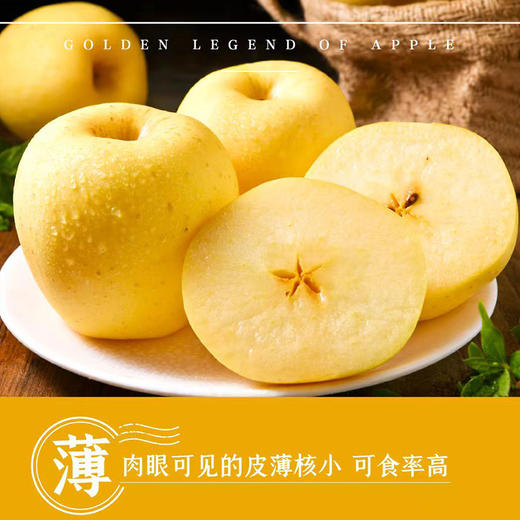 建宾黄金维纳斯苹果4.5斤礼盒装【分仓直发，72小时发货，周末节假日不发货】 商品图1