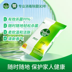 滴露卫生湿巾8片装（独立装）