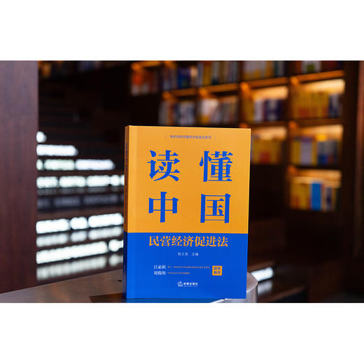 读懂中国民营经济促进法 陈云良主编 法律出版社 商品图0