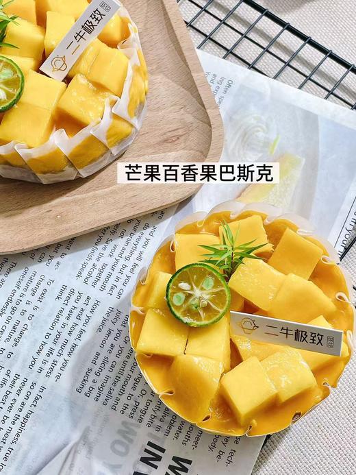 巴斯克 商品图2