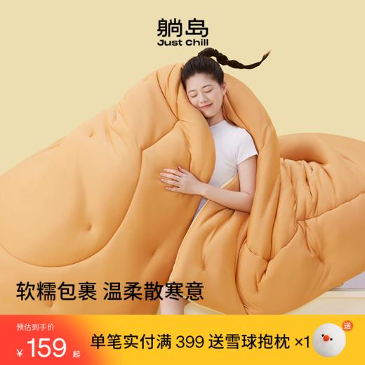 躺岛黄油小熊被2.0春秋款加厚款冬春秋冬被芯 商品图0