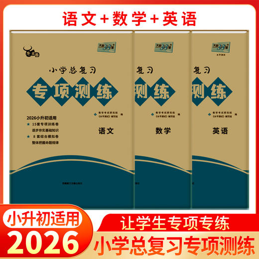 【天利38套】2026适用小学总复习专项训练语文数学英语牛皮卷专项突破练习试卷巩固基础知识模拟试题小升初真题2026全套六年级升初中书 商品图1