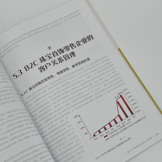 *饰设计与工艺系列丛书 *饰营销与品牌建设 珠宝*饰市场分析营销战略管理品牌建设推广 商品图3