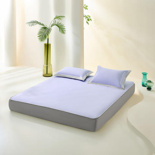 LOVO乐蜗-T-果果奶冻A类可水洗凉席(床笠款) 商品图1