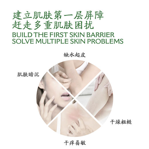 龙虎保湿舒缓身体乳 山茶花香型 500ml/瓶 甄选植萃 滋润肌肤，质地轻盈柔润，好吸收清爽不黏腻，淡淡山茶花香氛 商品图8