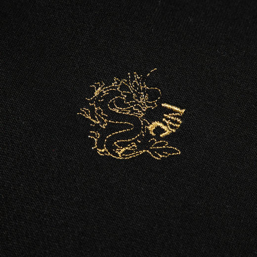 NPC潮牌新年系列保暖宽松重工金龙刺绣棉服男潮流NP41PJ34 L 商品图2