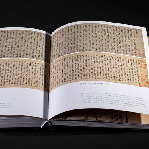 【特惠】《浙江书法大系 全16册》，16开精装，作者:中国美术学院中国画与书法艺术学院 编，上海书画出版社，2024年7月一版一印，定价：8800，售价：4099（原箱包邮） 商品图12