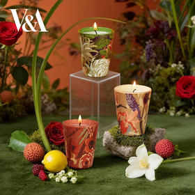 V&A博物馆 植物狂欢系列 空山菊影 金晖漫叠 花束低语 香氛蜡烛