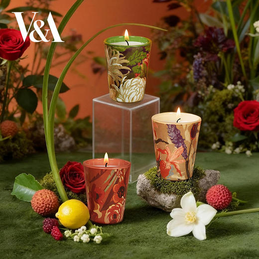 V&A博物馆 植物狂欢系列 空山菊影 金晖漫叠 花束低语 香氛蜡烛 商品图0