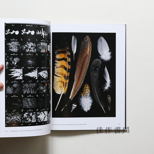 Hans Hansen: Still Life - Fotografien 1957– 2017 / Photographs 1957– 2017 / 汉斯·汉森：静物摄影，1957–2017摄影作品 商品图4