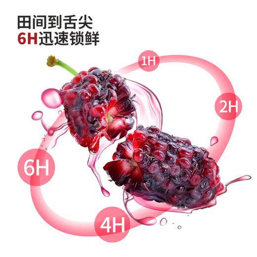 福东海桑葚原浆300毫升（30ml*10）/盒 商品图2