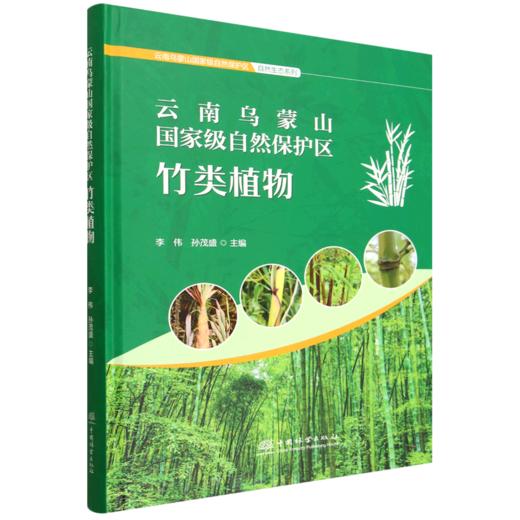 云南乌蒙山国家级自然保护区竹类植物 &3405 商品图3