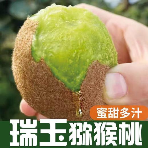 【新鲜采摘】中农兴 即食猕猴桃普箱（ 瑞玉）4.8斤/箱 入口香甜 商品图0