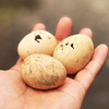【生态放养】伙计有®土鸡十八 初生土鸡蛋(40枚/盒) 商品缩略图2