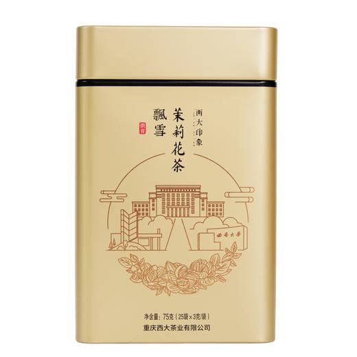 西大印象·飘雪 商品图5