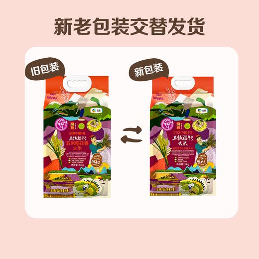 中粮一号五优稻4号五常稻花香5kg（新老包装随机发货） 商品图1