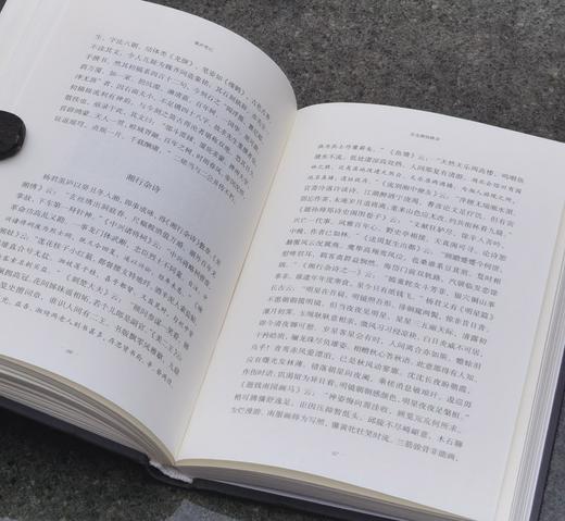 重点推荐，近代吴中掌故第一人、国学大师章太炎门下弟子王謇谈掌故之书《瓠庐笔记》，精装，王佩诤著，山东画报出版社2017年版，定价48，售价20元。
  商品图10