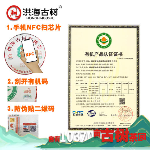 洪海古树有机茶-普洱茶【生茶】 商品图2