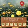 福东海 胎菊60g 商品缩略图1