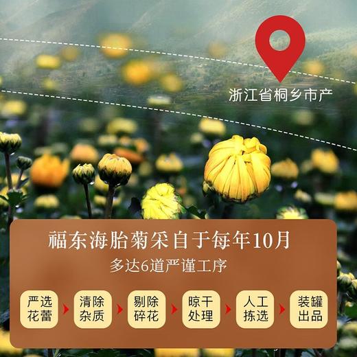 福东海 胎菊60g 商品图1
