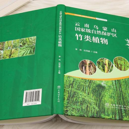 云南乌蒙山国家级自然保护区竹类植物 &3405 商品图4