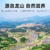杞里香 百合干瓶装250g*3瓶 百合南北干货 商品缩略图4
