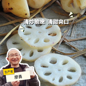 生态脆藕（四川） | 合作生产* Eco-lotus root | Coproduction
