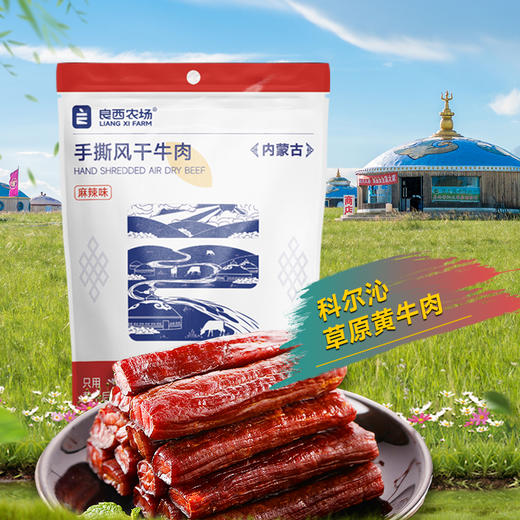 良西农场内蒙古手撕风干牛肉 麻辣味118g 商品图0