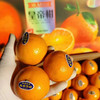 【德庆皇帝柑】皮超薄，果味浓郁，汁水飚溅，清甜无渣，熟悉的味道，青皮也甜哦 商品缩略图5