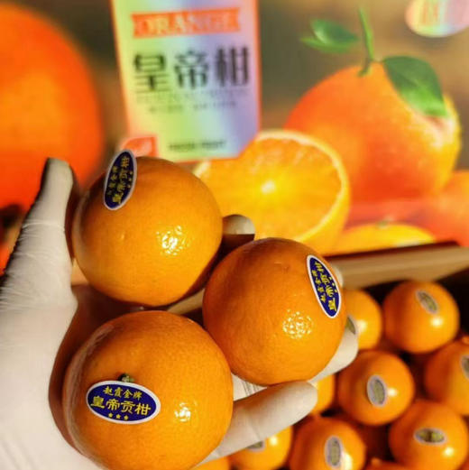 【德庆皇帝柑】皮超薄，果味浓郁，汁水飚溅，清甜无渣，熟悉的味道，青皮也甜哦 商品图5