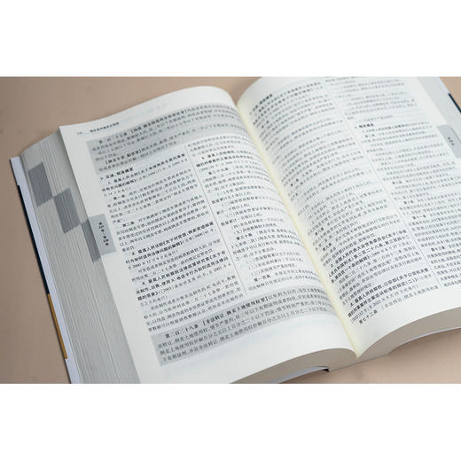 刑法适用规范总集成 李江林编 法律出版社 商品图6