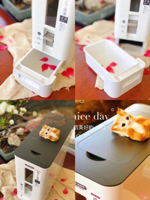 72小时内发货【自动计量米桶】ASVEL阿司倍鹭品牌，计量防潮加厚，防霾防虫防蛀，自动出米桶  别看桶小小的不大，大号的可以放24斤米，一般一袋米20斤，妥妥的方便，斜坡设计让米一粒不剩的到碗里来 商品图10