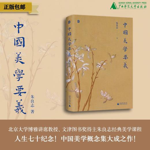 中国美学要义  朱良志/著  北贝  中国美学、古典美学、哲学、艺术、文人画、美学入门  广西师范大学出版社 商品图0
