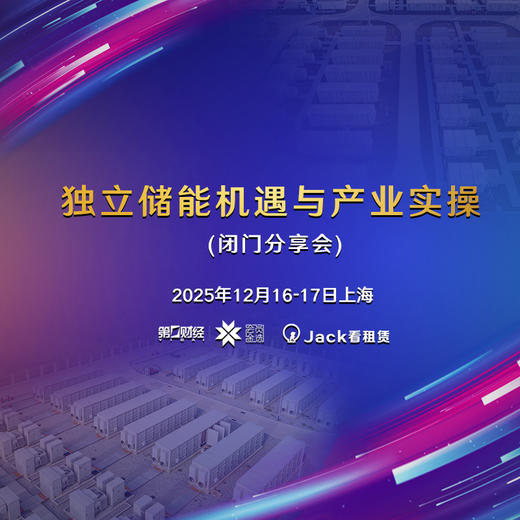独立储能机遇与产业实操（闭门） 商品图0