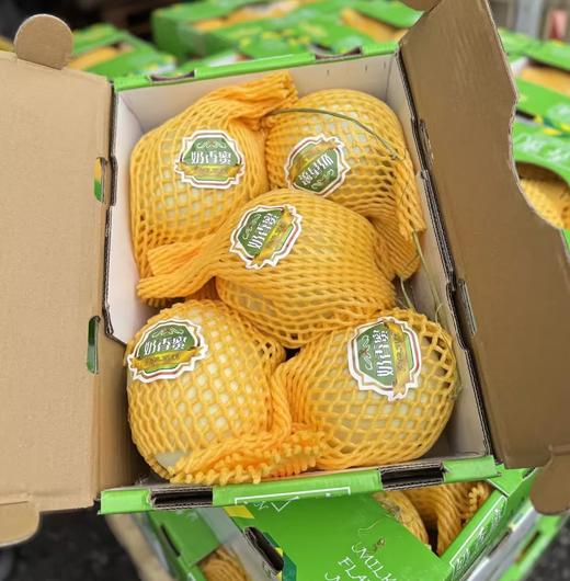 奶香蜜哈密瓜800g~900g 商品图0