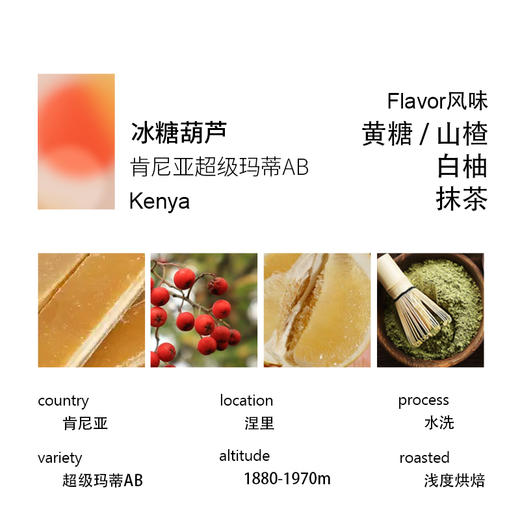 诚品咖啡 冰糖葫芦 肯尼亚涅里超级玛蒂AB SL28水洗手冲咖啡豆 商品图2