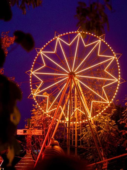 早鸟限时1周抢【麓湖麓客岛+荒野之国】麓客岛+荒野之国双人双园圣诞早鸟88元抢，圣诞节来麓湖，荒野雪村、森林木屋、动物互动、拖拉机巡游、圣诞岛集、爵士音乐会~~ 商品图9