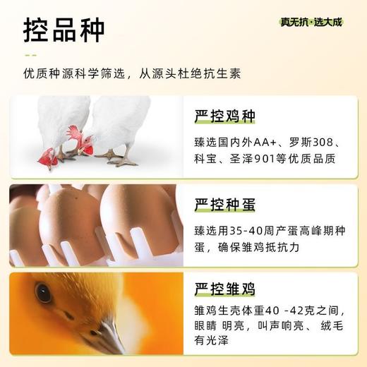 【冷冻生鲜食材】非即食 大成无抗鸡翅中230g/无抗橄榄油鸡扒蜜汁黑椒味
400g 袋装 商品图4