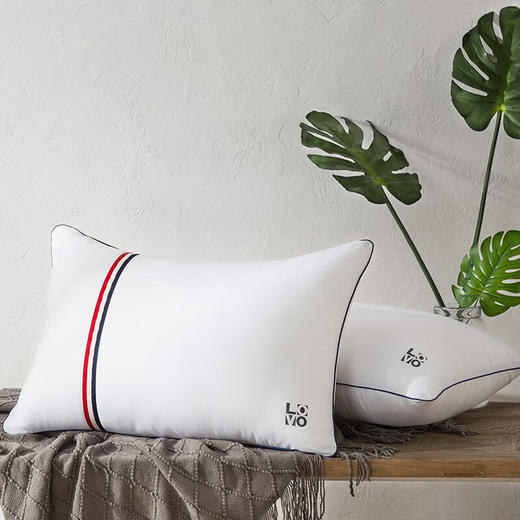 LOVO乐蜗-T-恬静舒睡防螨对枕 商品图2