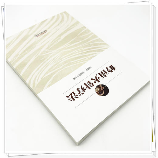 岭南火针疗法 林国华 李丽霞 主编 中国中医药出版社 商品图3