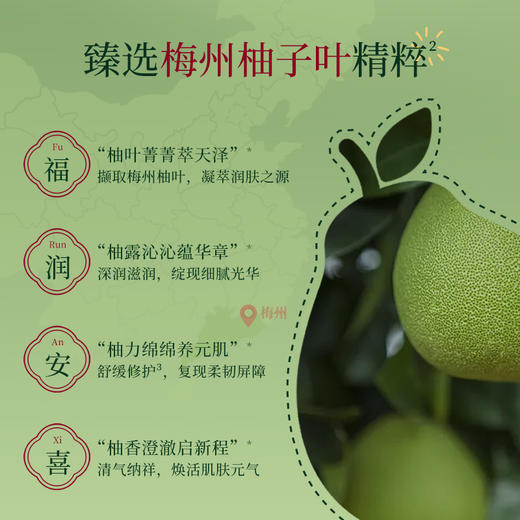 澳雪碌柚叶沁润修护身体乳500g 商品图2